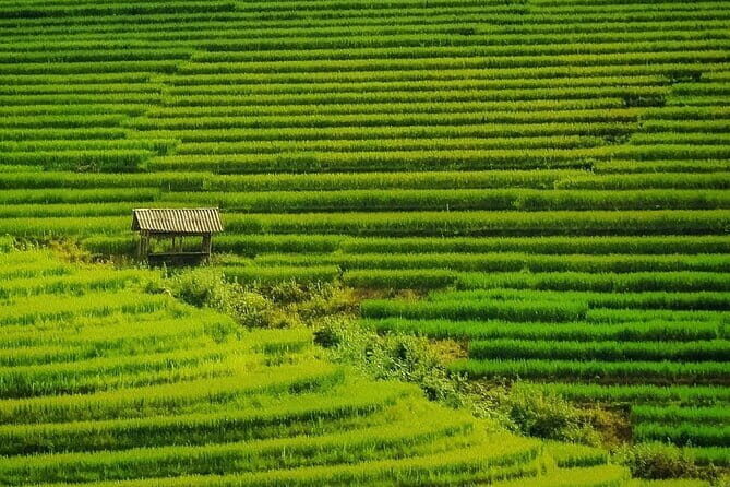Sa Pa Trekking 2 Days 3 Nights Homestay by Night Train - From Lao Cai to Sapa: Transfers, Showers, and Starting the Trek Well