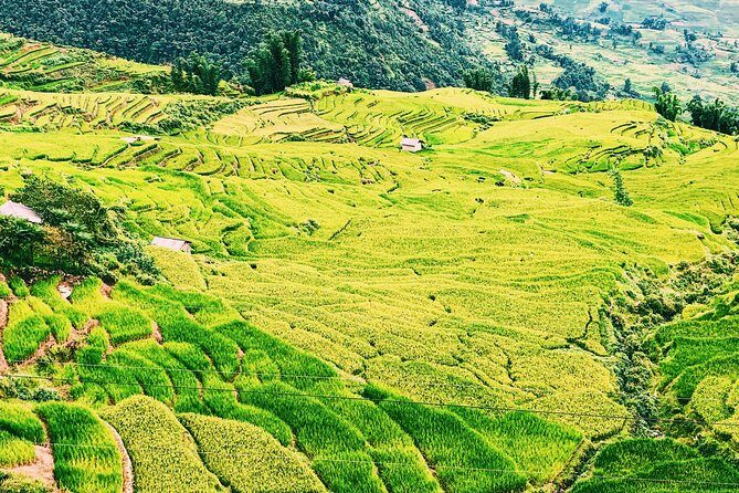 Sapa 2-Day Trek & Homestay in Ta Van Village – Be a Local - Who this trek suits best (and who should skip it)