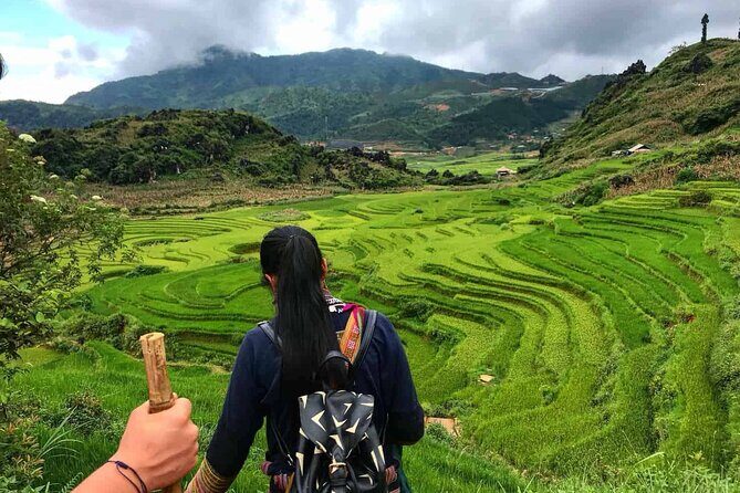 Sapa 2 Day Trekking with 1 Night Homestay - Guide Quality Is the Whole Point (And It Really Shows)