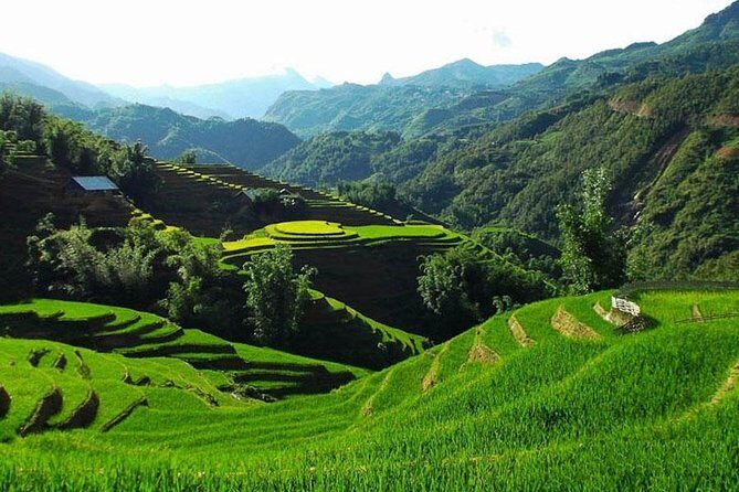 Sapa 2 Days 1 Night Bac Ha Market Tour (Overnight In Hotel) - Bac Ha Market 7:00–13:00: The Only-Time-This-Week Feeling