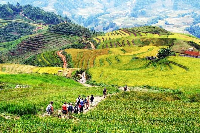 Sapa 2 Days 1 Night From Hanoi - Overnight in Ta Van Village - Sapa in Two Days: What You’re Really Signing Up For
