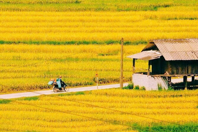 Sapa 2 Days 1 Night Overnight at Homestay Ta Van Village - Day 2 Trek to Giang Ta Chai: Rice paddies, bamboo, and viewpoints