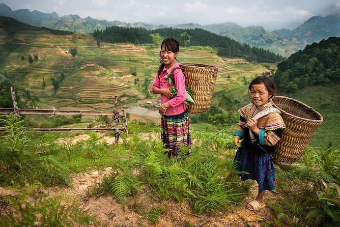 Sapa 2 Days 1 Night Tour From Hanoi By Bus (Hotel Overnight) - Day 2: Y Linh Ho, Lao Chai, and Ta Van rice-terrace route
