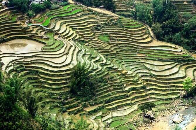Sapa 2 Days Trek with 1 Night Homestay - Who should book this trek with homestay?
