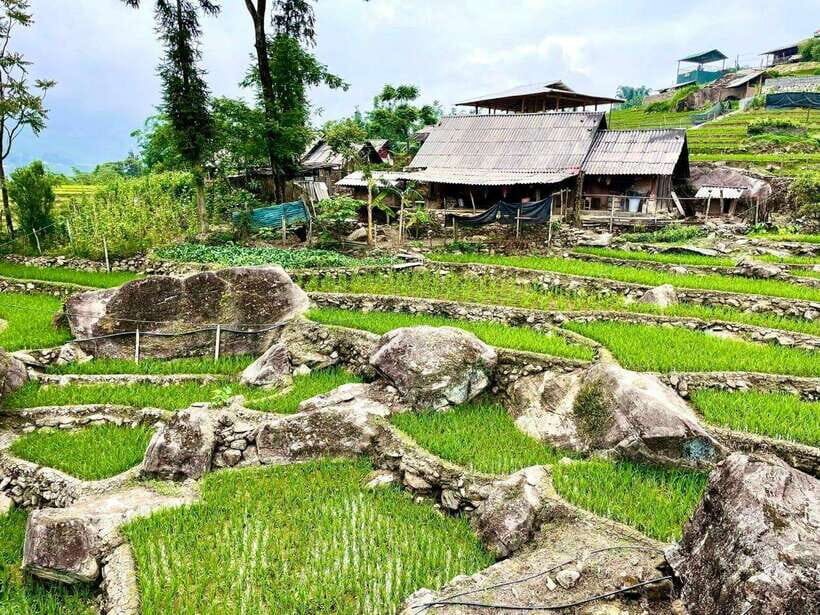 SAPA: 2 DAYS Walking & 1 night at Homestay with LOCAL GUIDE - Price and Value: Why $46 Can Make Sense Here