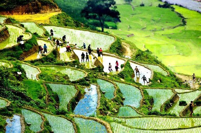 Sapa 2D1N All Included (Bus & Homestay) - Ta Van Dzay Homestay: Real Village Night, Built Into the Price
