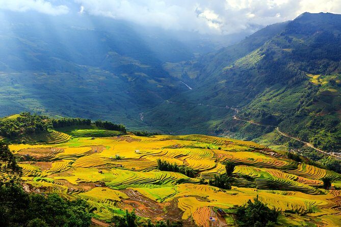 Sapa 2D1N All Included (Bus & Homestay) - Group Size, Fitness Level, and Pace: The Walk Is the Whole Point