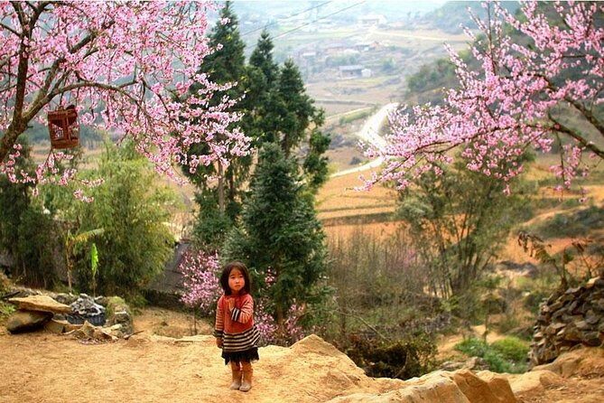 Sapa 3 Days 2 Nights Bac Ha Market From Ha Noi - Day 2 trekking from rice terraces toward Ta Van