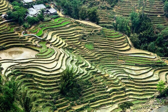 Sapa 3 Days Trek with 2 Nights Homestay - Guide Quality Makes or Breaks the Trek