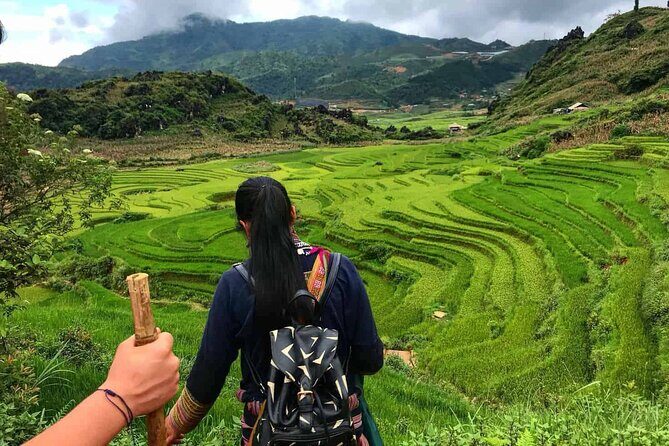 Sapa 3 Days Trek with 2 Nights Homestay - Price and Value: Is $196.16 a Fair Deal?