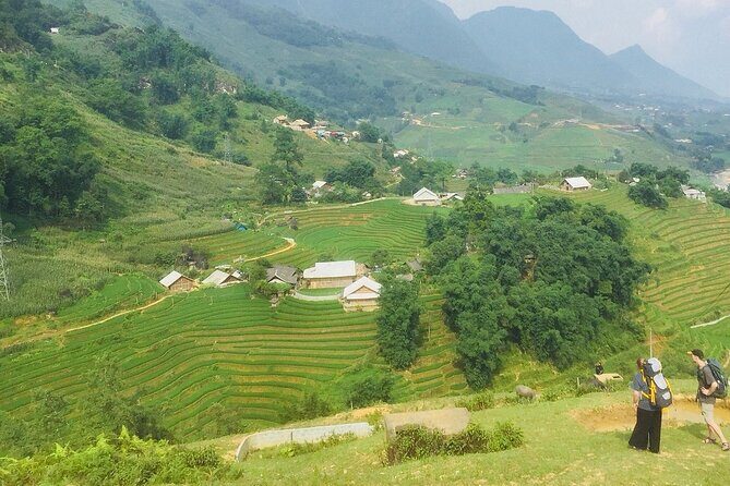 Sapa 3 Days Trekking Tour (1 Night in Bungalow, 1 Night In Hotel) - Giang Ta Chai: bamboo forest walking and Red Dzao village viewpoints