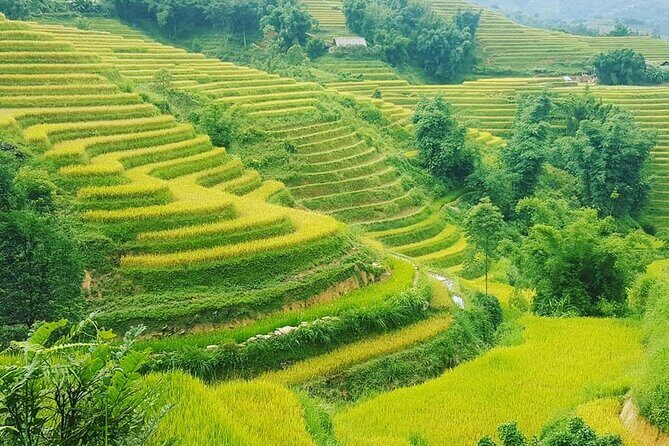 Sapa 3 Days Trekking Tour (1 Night in Bungalow, 1 Night In Hotel) - Price and value: what $125 really buys you
