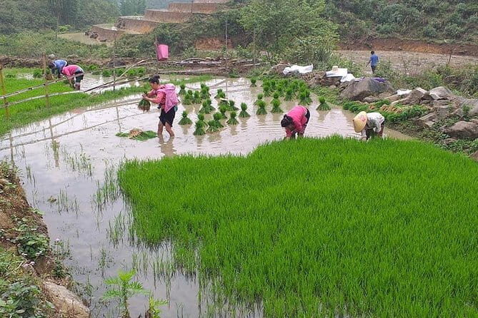 Sapa Adventure Motorbike Tour With Local Guide - Muong Hoa Valley: stream time, permission-based swimming, and a calmer pace