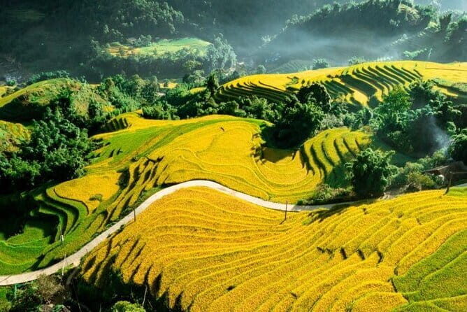 Sapa Adventure Motorbike Tour With Local Guide - What you get for $65: the value math that matters