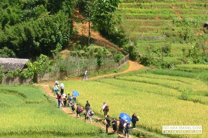 Sapa - Bac Ha Trek Tour - Night Train & Bus & Homestay overnight - Cat Cat and Lao Chai: Village Trekking With Water Sounds and Terraces
