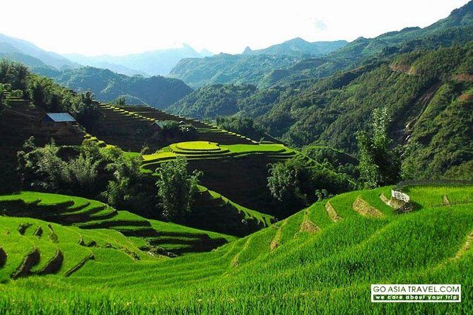 Sapa - Bac Ha Trek Tour - Night Train & Bus & Homestay overnight - Day Two Village Hops: Bamboo Forests and Rice Terraces Around Giang Ta Chai
