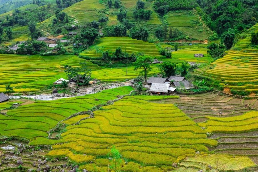 Sapa beautiful rice field, village - Easy walking kid,senior - Key highlights you’ll feel on this tour