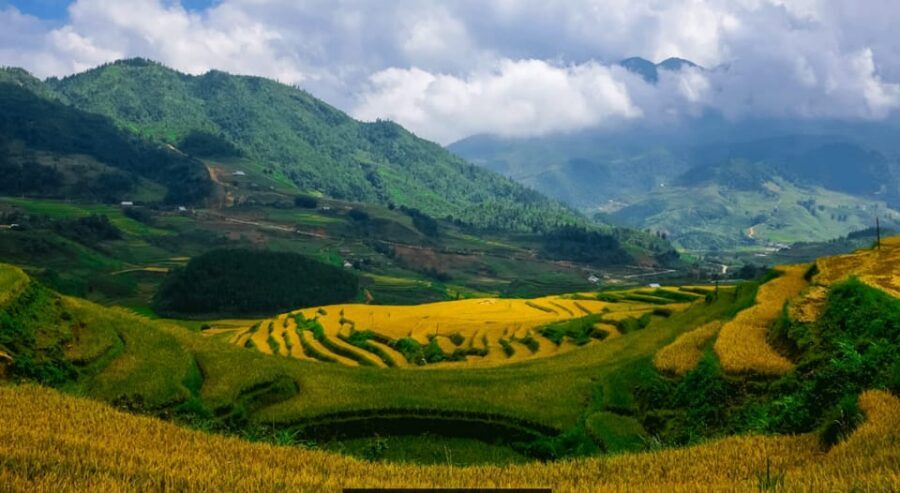 Sapa beautiful rice field, village - Easy walking kid,senior - Guide and group setup: private, English, and paced
