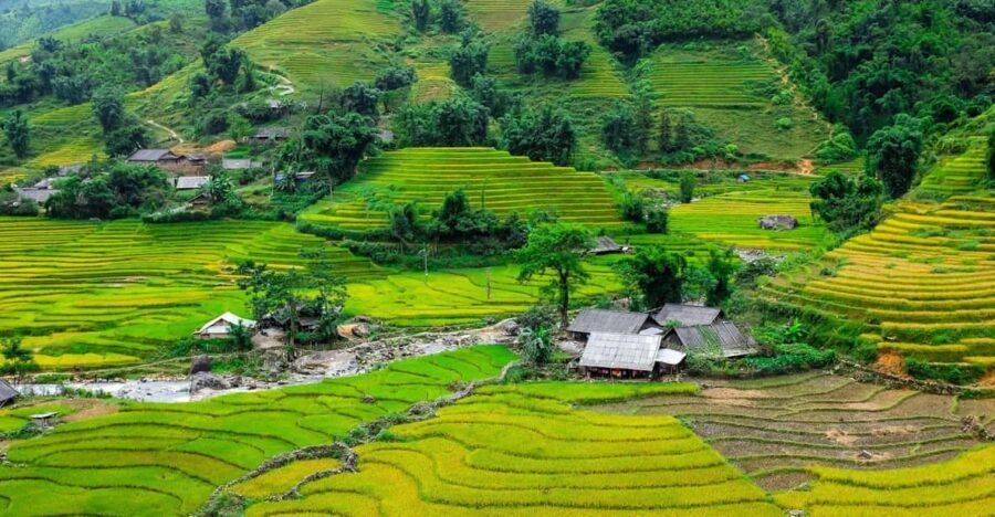 Sapa beautiful rice field, village - Easy walking kid,senior - Why Muong Hoa Valley feels like the main event