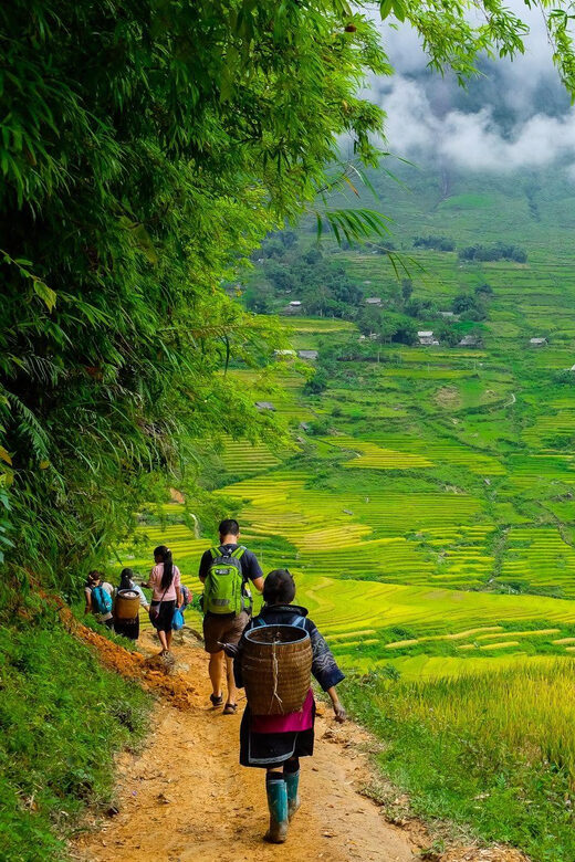 Sapa beautiful rice field, village - Easy walking kid,senior - Rice terraces and wooden houses: the walk that actually fits families