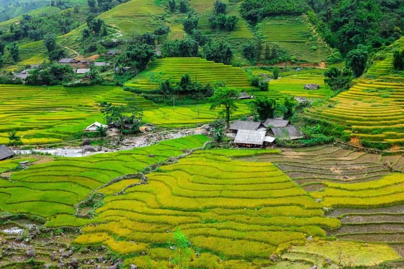 Sapa beautiful rice field, village - Easy walking kid,senior - Lao Chai and Tavan: village paths with real atmosphere