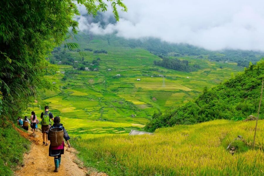 Sapa beautiful rice field, village - Easy walking kid,senior - From your hotel to Y Linh Ho: a smooth start at 8:30