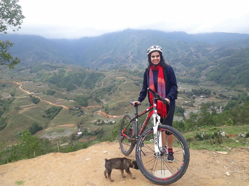 Sapa Bike Tour to Muong Hoa Valley and Local Life Experience - Lao Chai and Ta Van: rice, weaving, and livestock work you can see