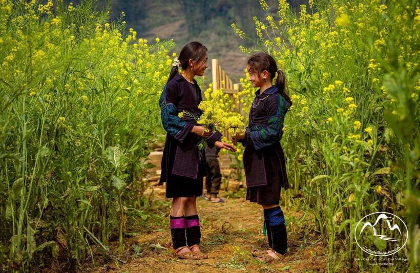 Sapa Cat Cat Village And Y Linh Ho Private Trekking Tour - Why a private guide makes this trek feel easier