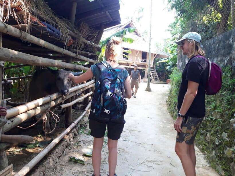 Sapa Cat Cat Village And Y Linh Ho Private Trekking Tour - What’s included (and how it affects real value)