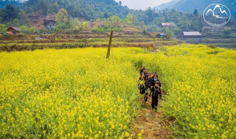 Sapa Cat Cat Village And Y Linh Ho Private Trekking Tour - The day’s rhythm: from village learning to mountain viewpoints