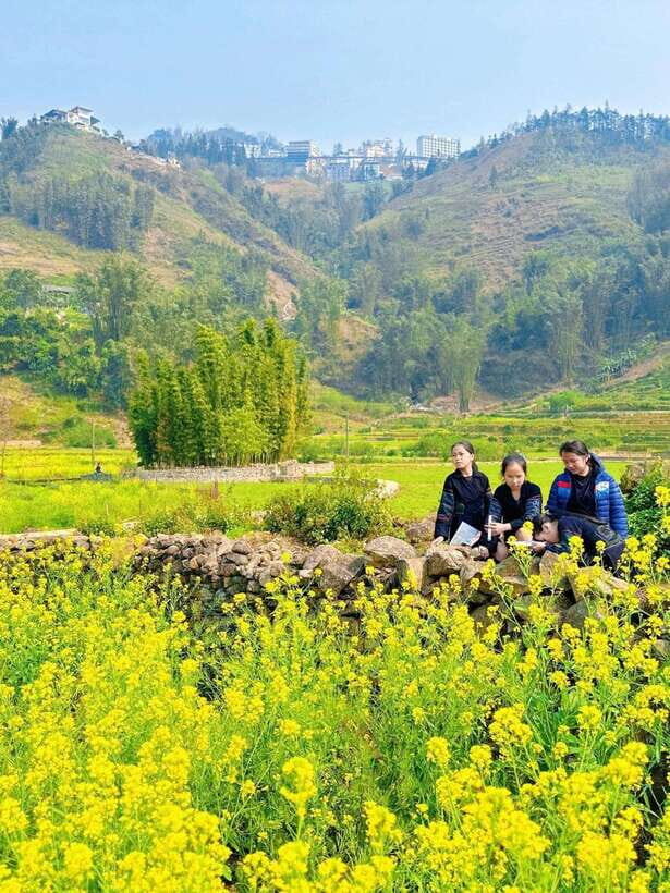 Sapa Cat Cat Village And Y Linh Ho Private Trekking Tour - Who should skip it or choose a different option