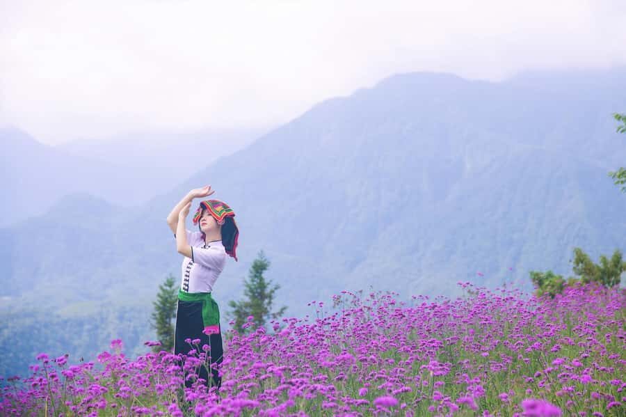 Sapa: Cat Cat Village, Moana, Alpine Coaster, Fansipan Cable - Fansipan Full-Day: Monorail, Cable Car, Uphill Train to 3,143m