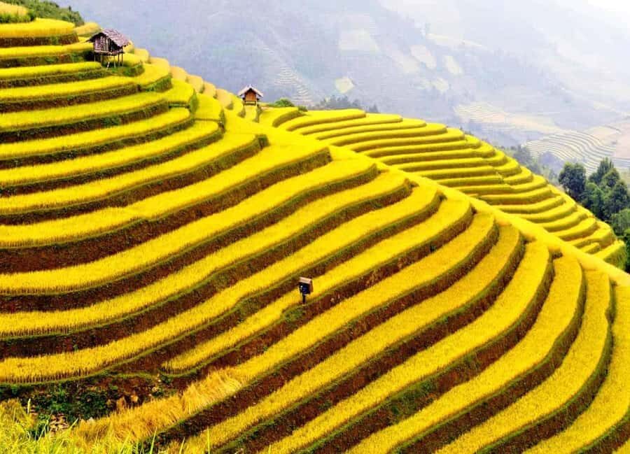 Sapa: Cat Cat Village, Moana, Alpine Coaster, Fansipan Cable - What You Get for About $33: Value That Actually Adds Up