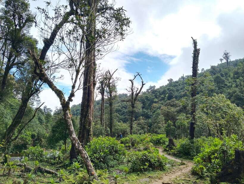 SAPA : Climb up to Fansipan mountain with LOCAL GUIDE - Price and Value: What $72 Includes (And What It Doesn’t)