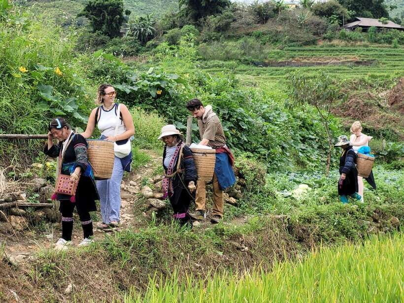 Sapa: Discover the Secrets of the Red Dao: A Healing Journey - Key moments to look forward to