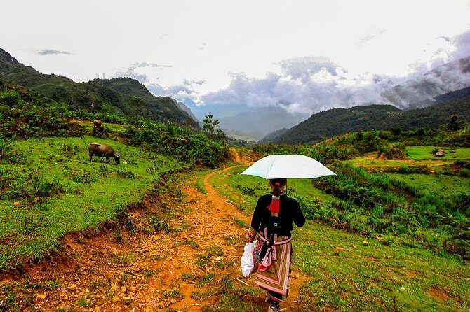 Sapa Easy Trekking Tour 1 Day - Rice Paddies and Cultures - Suoi Ho and Black Hmong village life: houses, routines, and farm animals