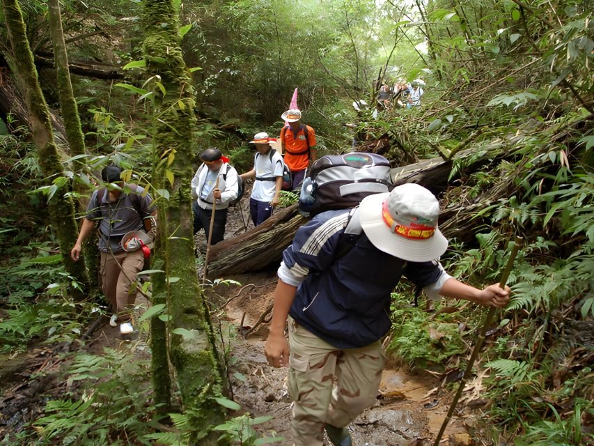 Sapa: Epic 1-Day Trek to Fansipan Mountain Peak - Who this trek fits best, and who should skip it