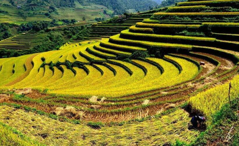 Sapa: Half Day Treck To Visit Y Linh Ho , Lao Chai, Ta Van - Leaving town: daily life before the terraces