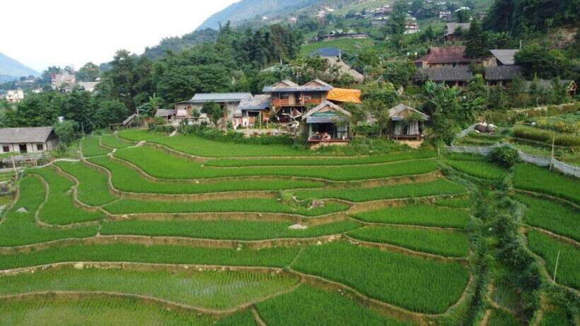 Sapa: Half Day Treck To Visit Y Linh Ho , Lao Chai, Ta Van - Terraced rice, corn, and potato fields: what you’re really hiking through