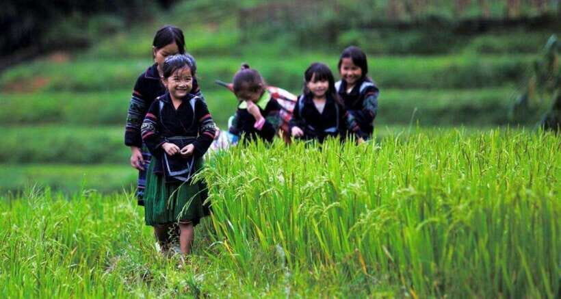 Sapa: Half Day Treck To Visit Y Linh Ho , Lao Chai, Ta Van - Village visits to Y Linh Ho, Lao Chai, Ta Van, and Lai Chai