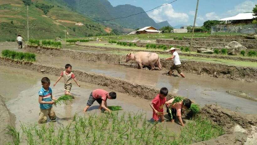 Sapa: Half Day Treck To Visit Y Linh Ho , Lao Chai, Ta Van - The waterfall pause: photos, rest, and regrouping