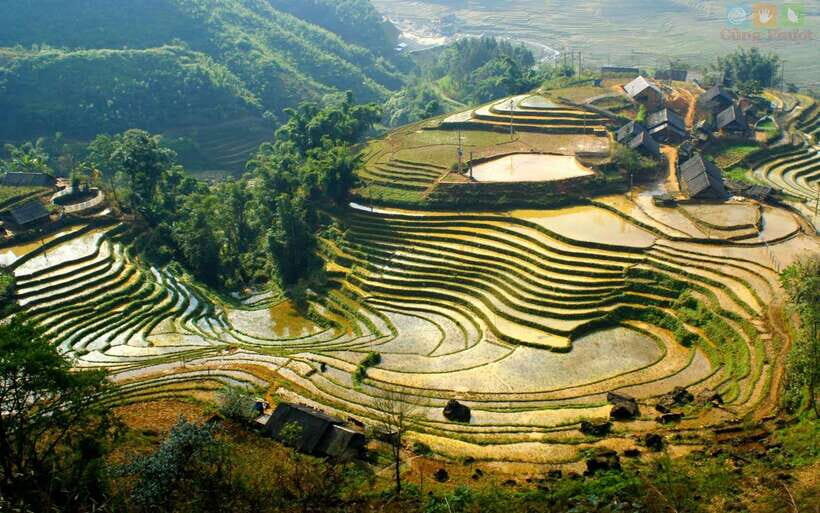 Sapa: Half Day Treck To Visit Y Linh Ho , Lao Chai, Ta Van - Lunch in a local restaurant: what’s included and why it matters