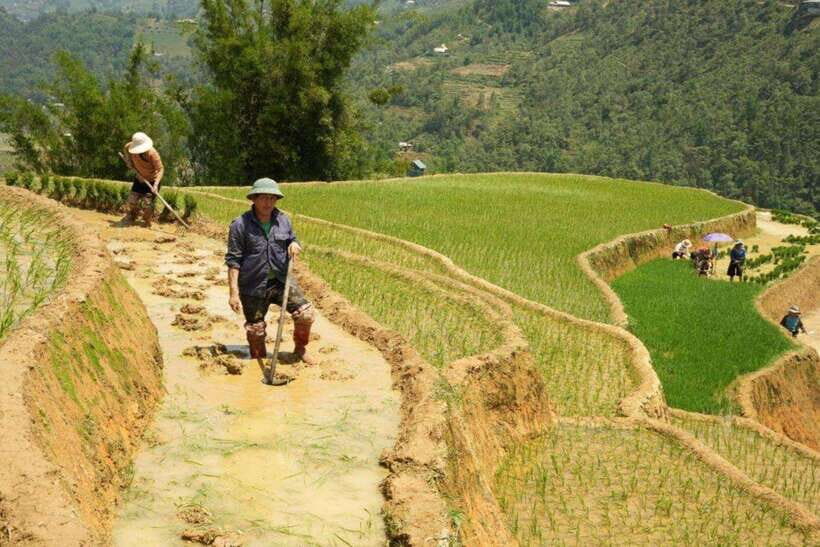 Sapa: Half Day Treck To Visit Y Linh Ho , Lao Chai, Ta Van - Group size and guide support: why small feels better here