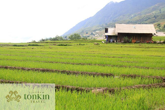 Sapa hard trekking villages homestay 3days/ 2nights tour - amazing culture - Why the 1:00 pm start in Sapa feels like a local day
