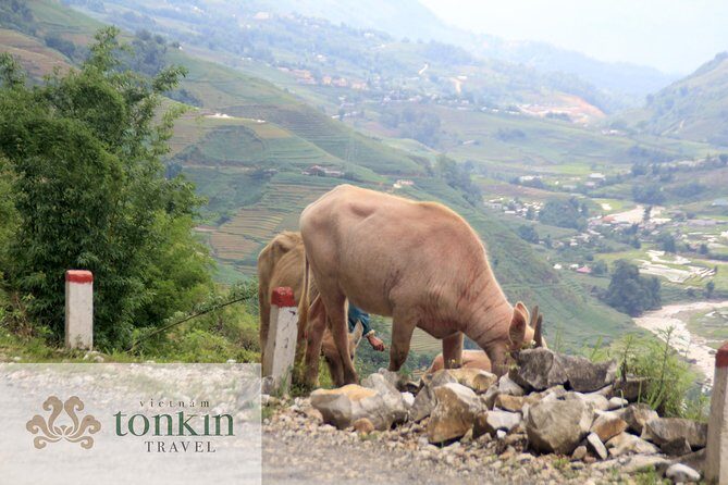 Sapa hard trekking villages homestay 3days/ 2nights tour - amazing culture - How hard is this trek and what to pack