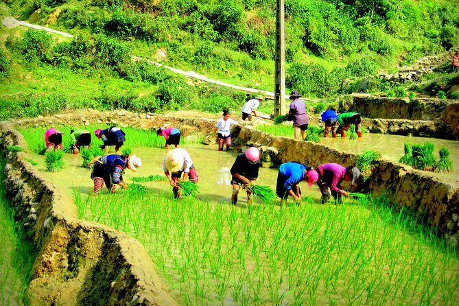 Sapa Hmong Family Trekking Adventures - Entering Sapa Through the Valleys, Not the Main Road