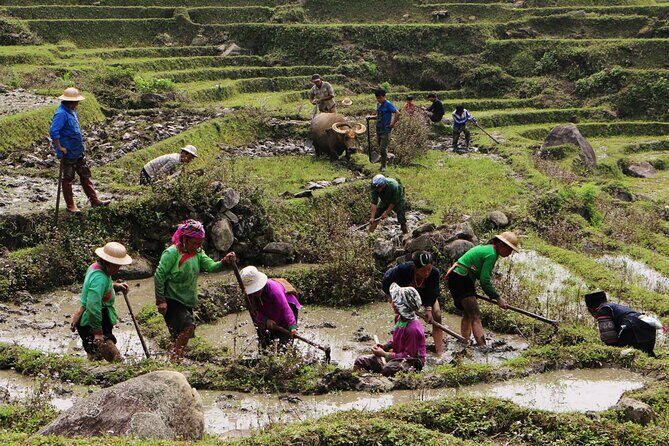 Sapa Hmong Family Trekking Adventures - Day 1: Lao Chai Trail Down the Valley Past Cat Cat to Y Linh Ho