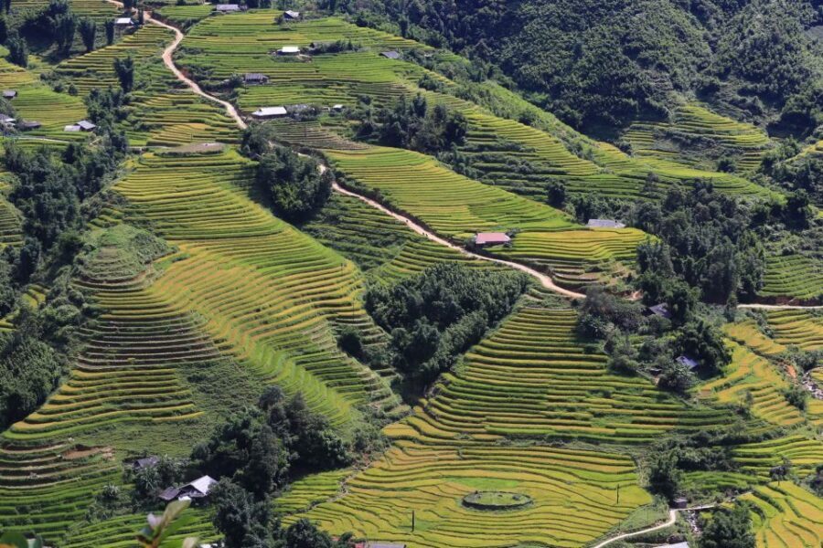 Sapa: Local Exploration on a Guided Motorbike Tour - Lunch in Sapa Town: Simple, Local, and Usually Satisfying
