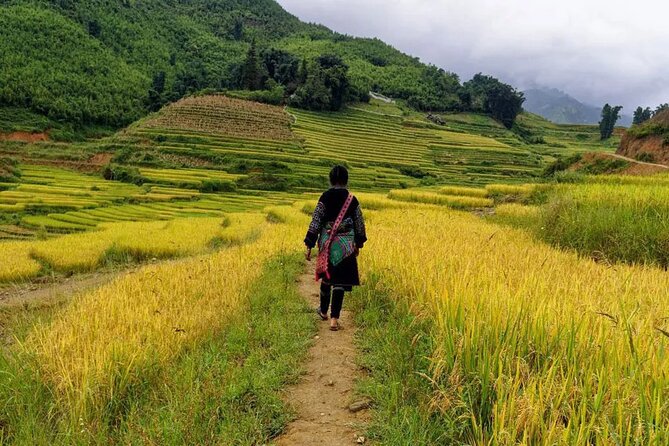 Sapa Local Trekking Adventures - Pickup, meeting point, and getting started at 9:00am
