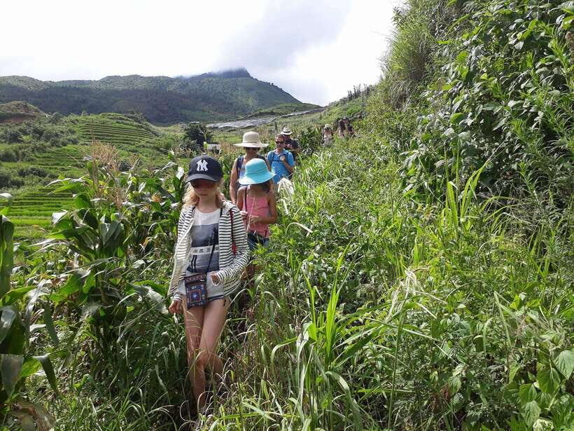 Sapa: Love Silver Waterfall, LonelyTree in Heaven-Rice Field - Picnic lunch with mountain views and riverside breaks